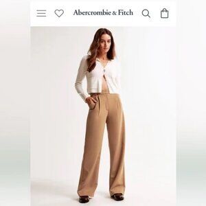 Abercrombie & Fitch Sloane Tailored Wide Leg Pants-brown